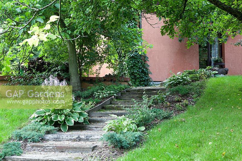 Wooden steps up through shade, with Hosta plants near tree, towards building