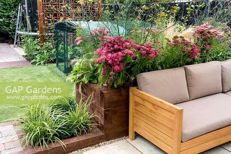 London garden designed by Nick Gough Patio area with garden sofaSmall square 
bed: Variegated grass: Carex Ice Dance and buxus sempervirens topiary ball
Raised bed behind sofa:  Achillea Pomegranate Grass: nasella tenuissima 
Fennel: Foeniculum vulgare purpureum