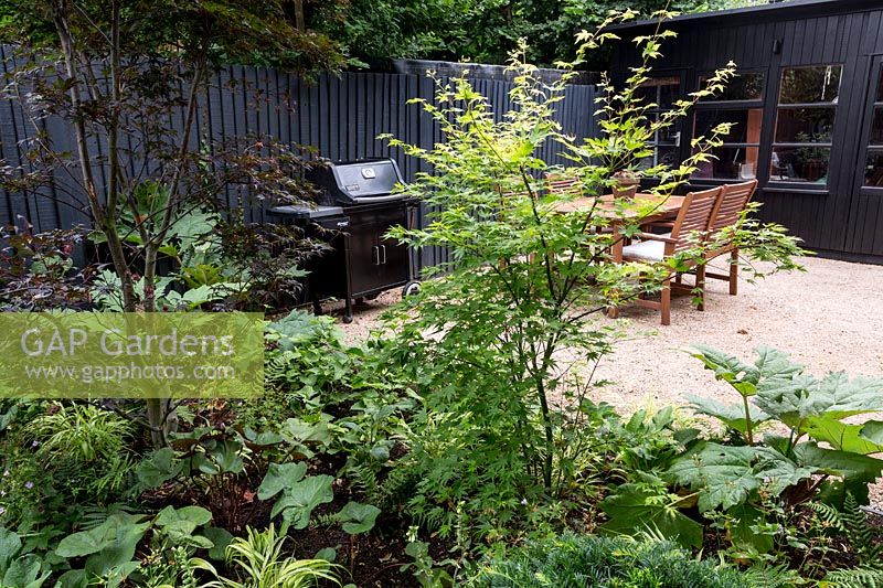Garden design by Nick Gough 
Garden border with black painted wood fence, wooden summer house and gravel 
patio and seating area. 
Planting includes: Acer palmatum 'Blood Good'
Topiary ball Taxus bacatta - Yew, 
Acer palmatum 'Katsura' - on right
Rheum palmatum atrosanguineum