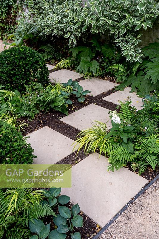 Paving slabs and shade tolerant planting with Dryopteris, Hakonechloa and Hostas