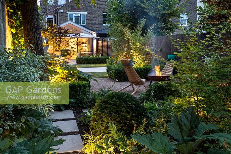 Mixed Acers with Buxus sempervirens hedge and garden lighting at dusk