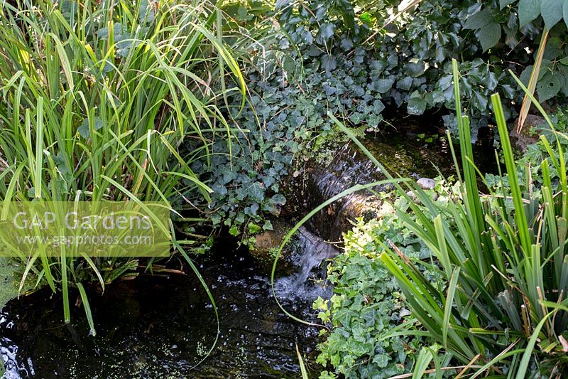 Small waterfall leading to pond
