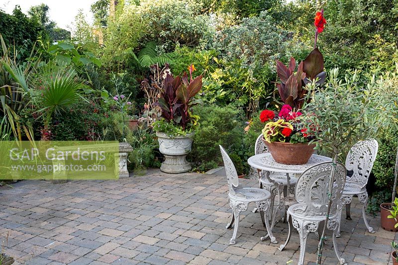 Table and chairs with Canna Tropicana 'Black'