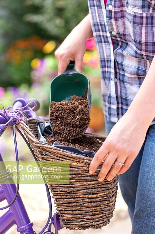 Adding compost to lined basket