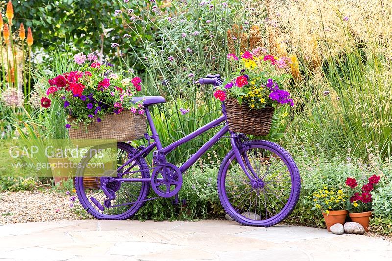 Painted childs bike with baskets of colourful bedding plants