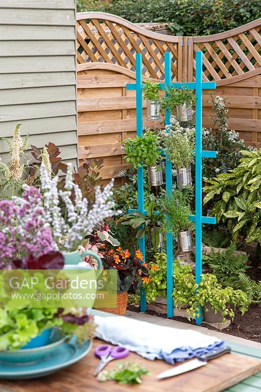 Trellis tin can planter planted with herbs and used at the edge of patio for easy access