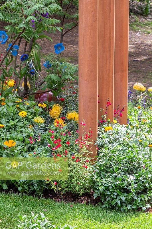 Pillars set in border of Salvia, Meconopsis and Protea in The British Council Garden - India: A Billion Dreams. Sponser: British Council, RHS Chelsea Flower Show, 2018.
