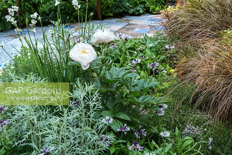 The Embroidered Minds Epilepsy Garden - RHS Chelsea Flower Show, 2018