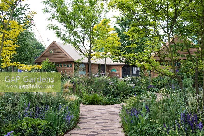 Brick path leading between borders full of grasses and perennials, with Gleditsia triacanthos - Honey Locust Tree - The RHS Feel Good Garden, RHS Chelsea Flower Show 2018