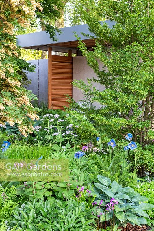The Morgan Stanley Garden for the NSPCC - Enkianthus campanulatus, Hosta, Meconopsis, Lamium and Valerian - Sponsor: Morgan Stanley - RHS Chelsea Flower Show 2018