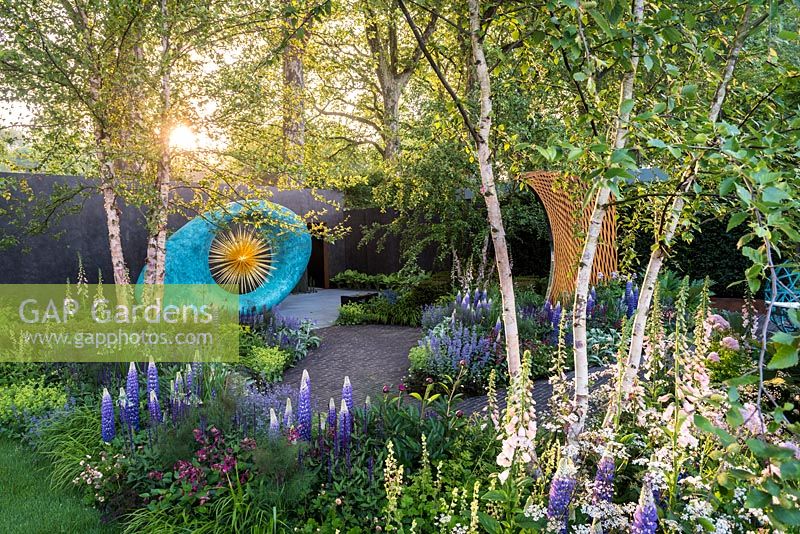 Artwork with Lupinus, Digitalis and Betula, The David Harber and Savills Garden, RHS Chelsea Flower Show, 2018