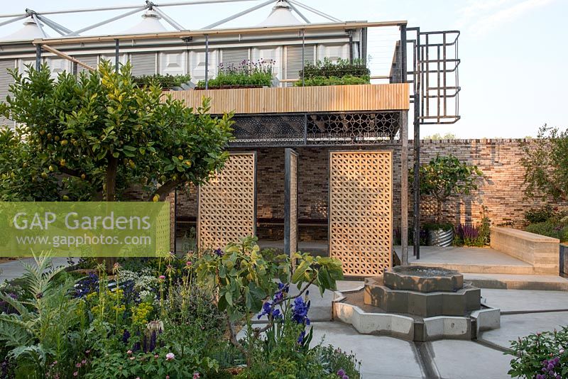 Wood and steel garden building with Citrus x limon 'Meyer', Ficus carica, Euphorbia, Allium and Cynara scolymus, fountain with water rills - The Lemon Tree Trust Garden - RHS Chelsea Flower Show 2018
