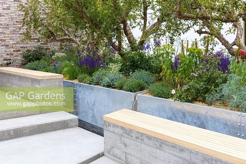 Islamic influence garden with rills in concrete and wooden top benches, Pomegranate trees, Salvia x sylvestris 'Mainach, Euphorbia and Thymus species - The Lemon Tree Trust Garden - RHS Chelsea Flower Show 2018
