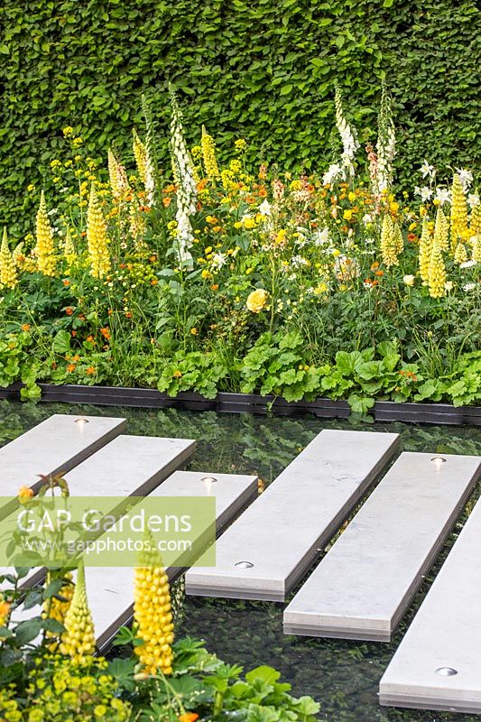 Paved stepping stones over a pebble filled pool with bright planting. The LG Eco-City Garden, Sponsor LG Electronics, RHS Chelsea Flower Show, 2018.