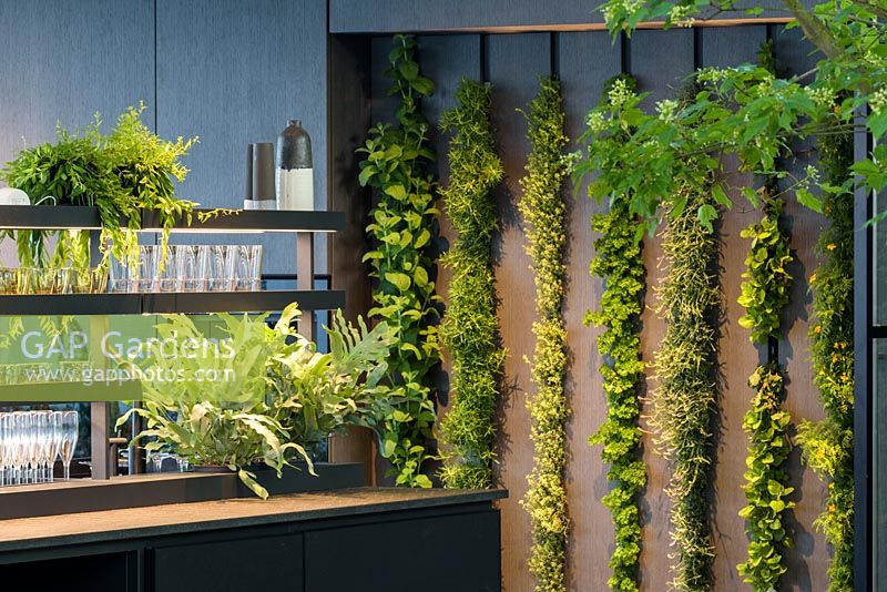 Interior of pavilion with living wall and houseplants. The LG Eco-City Garden, Sponsor LG Electronics, RHS Chelsea Flower Show, 2018.