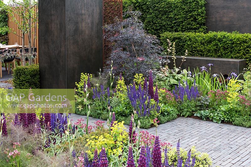 Water feature with lupins, salvias and black elder. Urban Flow garden, RHS Chelsea Flower Show, 2018. Sponsor: Thames Water.