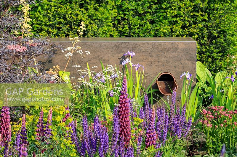 Water feature in modernist dark steel, with a purple and green planting in the foreground. Urban Flow garden, Sponsor: Thames Water, RHS Chelsea Flower Show, 2018.
