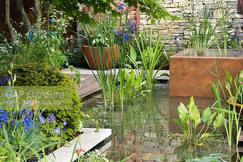 The Silent Pool Gin Garden - Taxus baccata topiary spheres, Anchusa azurea 'Dropmore', Astrantia major 'Large White' next to the pond with Aquatic plants - Sponsor: Silent Pool Distillers - RHS Chelsea Flower Show 2018