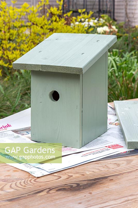 Bird box painted pale green, drying prior to hanging