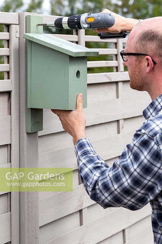 Man fixing painted bird box to fence with electric screwdriver. 