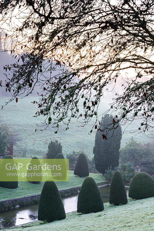 View of frozen lily pond with clipped yews in the Canal Garden - Mapperton, Dorset, UK