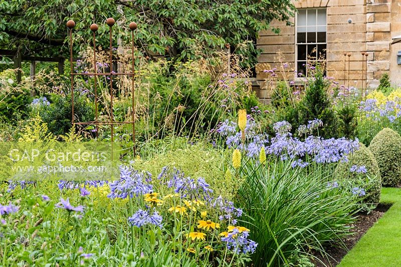 View along colour themed perennial borders with Kniphofia and Agapanthus.