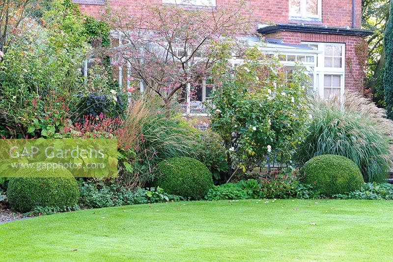 Clipped Box spheres surround the circular lawn in the garden - Shropshire, UK