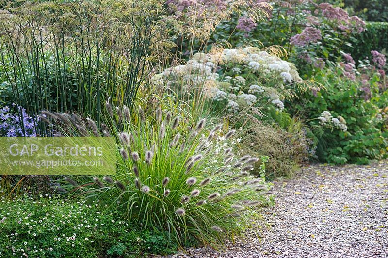 Gravel garden alongside the drive features mixed planting of grasses, herbaceous perennials and shrubs - Shropshire, UK