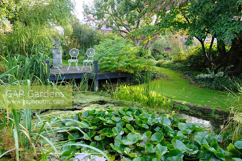 Seats on decking above the pond with water lilies - Shropshire, UK