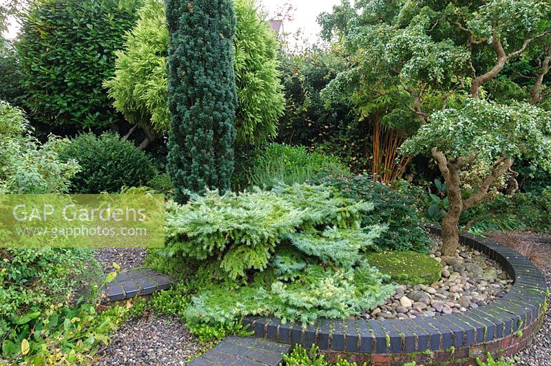 Circular raised bed of shrubs and trees - Shropshire, UK