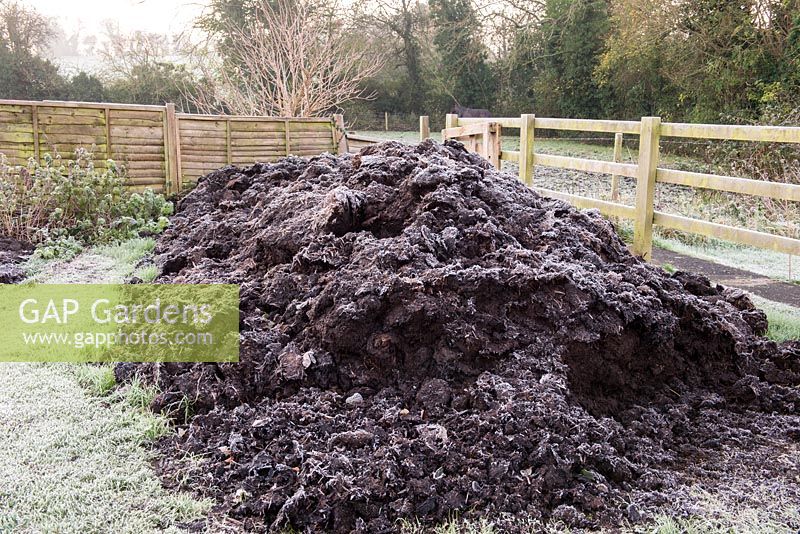 Frosted manure pile