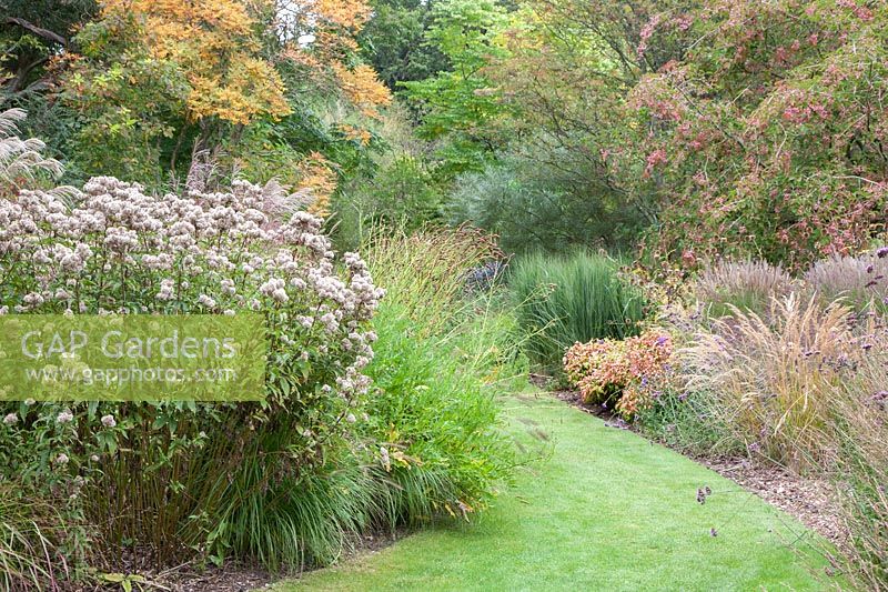 Grass walk between densely-planted borders of perennials and grasses, Knoll Gardens, Dorset, UK. 