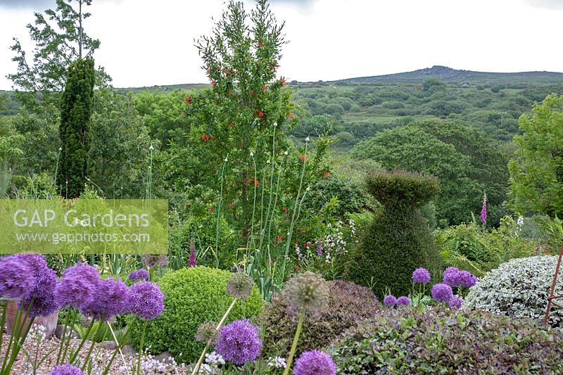 Looking over topiary, perennials and specimen trees to the Preseli mountains at Dyffryn Fernant