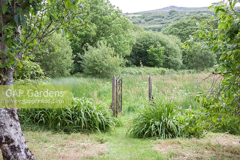 Looking through small, wrought-iron gate towards the lake and the Preseli mountains at Dyffryn Fernant
