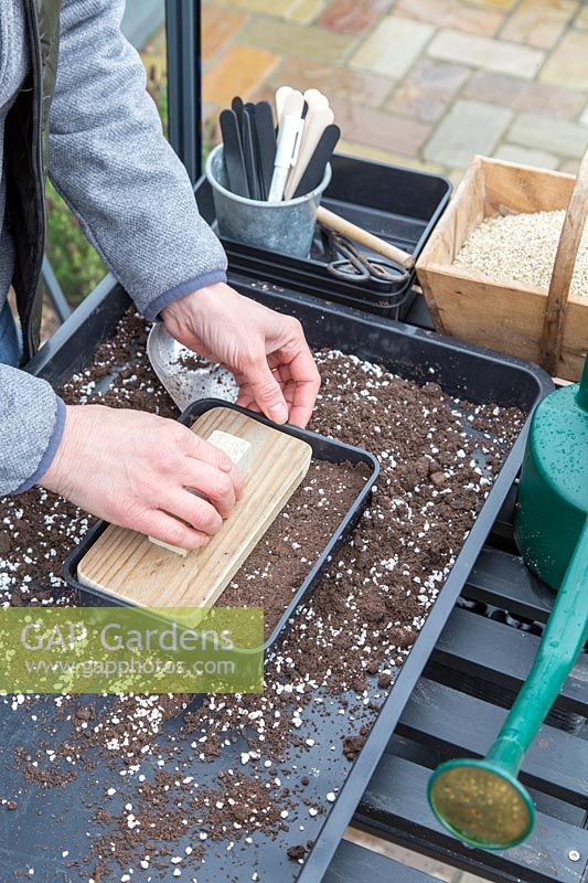 Woman using a potting tamper to firm soil in black, plastic seed tray prior to sowing seeds.