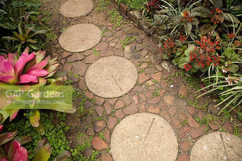 Stone path through dense tropical planting in Hunte's Garden, Barbados