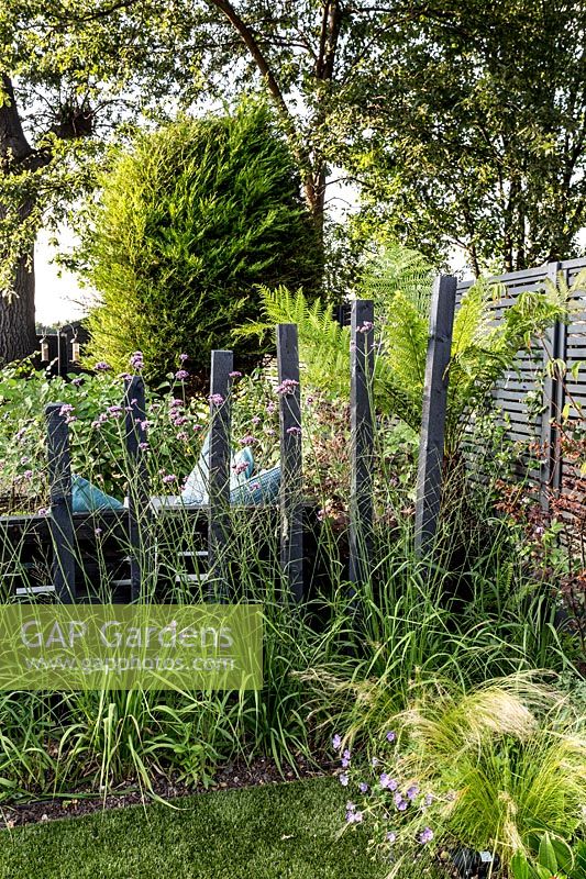 Contemporary London garden with grey painted fence. Wooden post screen Short feathery grass - stipa tenuissima, Tall grass - Molina Caerulea 'Karl Foerster', Purple flower - Verbena bonariensis