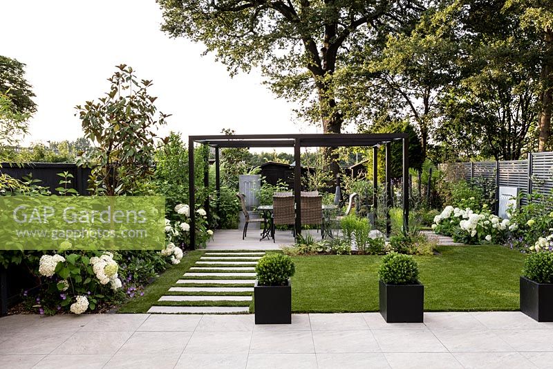 Contemporary London garden, looking towards pergola covered patio with table and chairs and grey painted fence in background Artificial lawn with stone paver path.
White flower- Hydrangea 'Annabelle', Topiary in black planters is 
Ilex Crenata 'Dark Green', Tree - Magnolia grandiflora