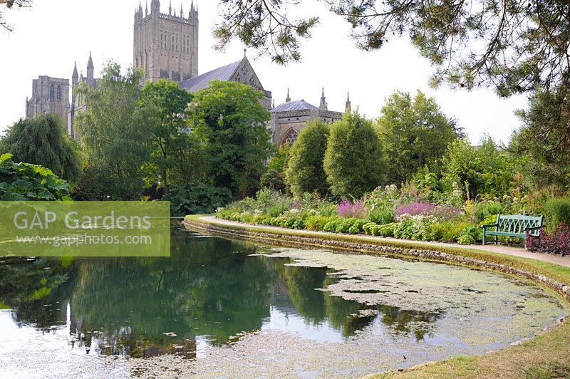 Large pond in the Wells Gardens where springs bubble to the surface surrounded by lush planting and benches to sit and enjoy the setting below the bulk of Wells Cathedral