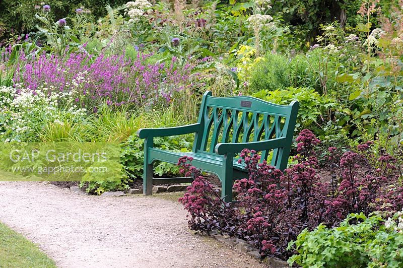 Green bench framed by deep red Sedum telephium 'Purple Emperor', lythrums and 
astrantias.