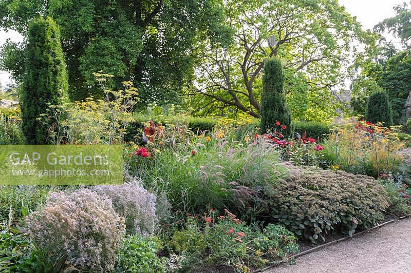 Hot border in the East Garden planted with a mix of herbaceous perennials and 
grasses including fennel, dahlias, bananas, Phlomis russeliana and sedums 
around upright forms of Irish yews, Taxus baccata 'Fastigiata', representing 
the 12 'Apostle Yews' which stood in the C19th parterre.