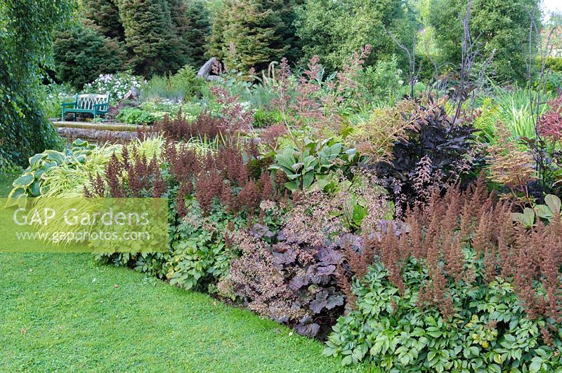 Border planted with moisture loving plants in the Wells Gardens including hostas,
 astilbes, heucheras and rodgersias