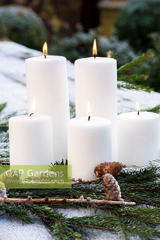 White candles with pine and cones on garden table