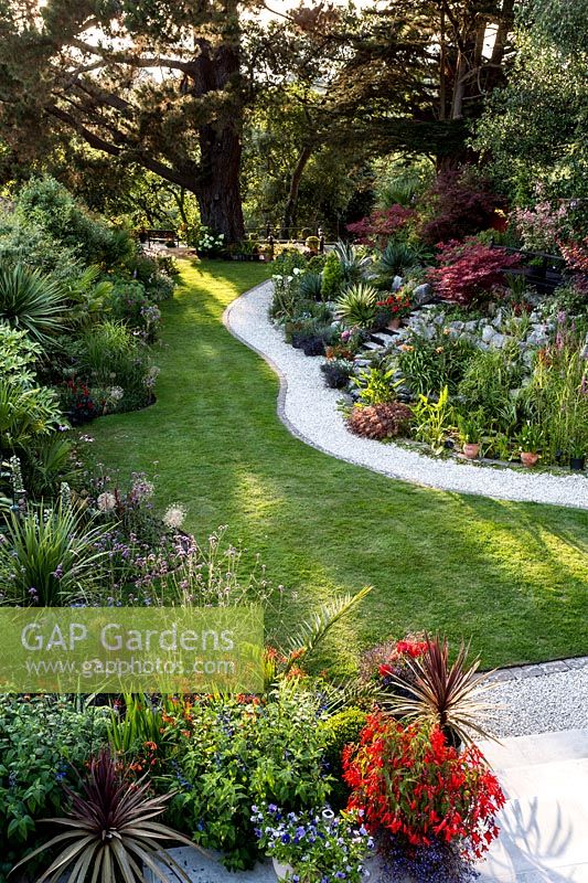Curved lawn and path - Pam Woodall's garden, 'Pinecombe' in Dorset, UK