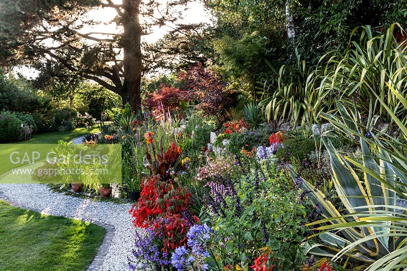 Mixed borders, curved lawn and path - Pam Woodall's garden, 'Pinecombe' in Dorset, UK