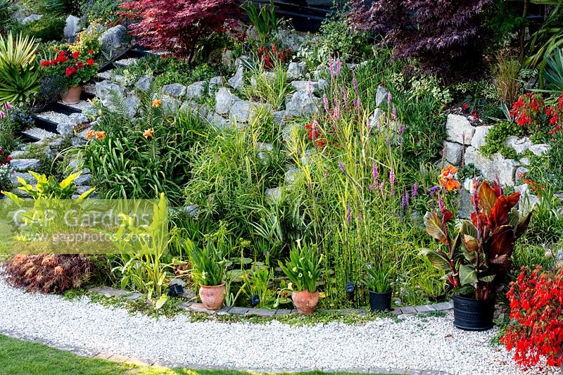 Pond and rockery area - Pam Woodall's garden, 'Pinecombe' in Dorset, UK