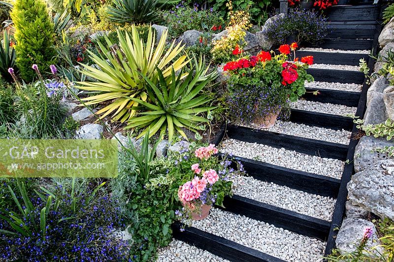 Wooden steps with white gravel - Pam Woodall's garden, 'Pinecombe' in Dorset, UK