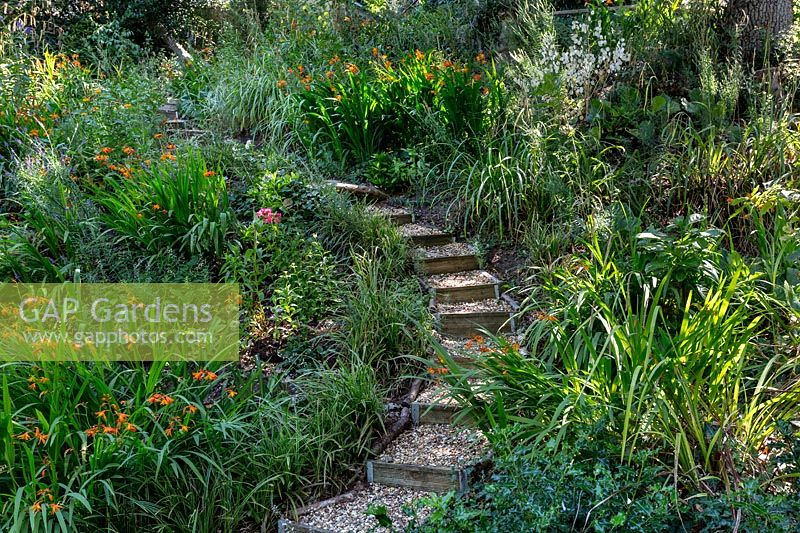 Borders in the wildlife garden with steps - Pam Woodall's garden, 'Pinecombe' in Dorset, UK