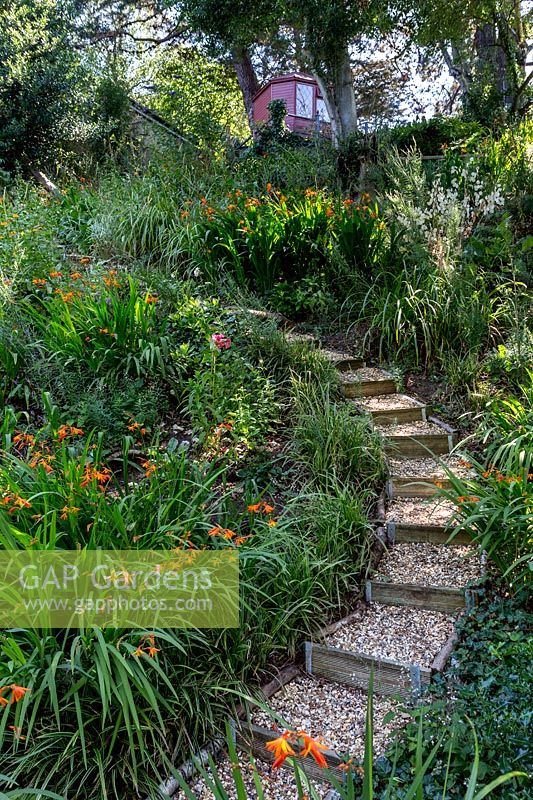 Borders in the wildlife garden with steps leading towards the upper garden. Pam Woodall's garden, 'Pinecombe' in Dorset, UK
