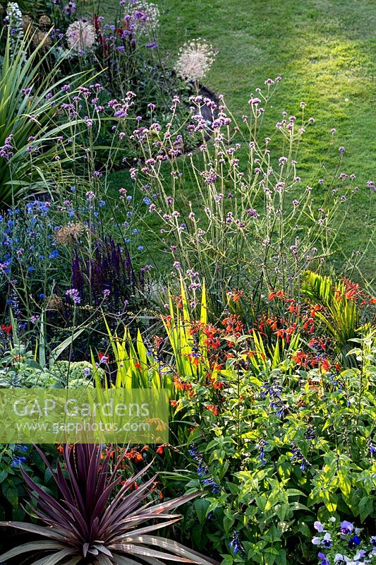 Mixed planting in border - Pam Woodall's garden, 'Pinecombe' in Dorset, UK